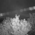 Webcam_20200803-220000