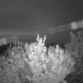 Webcam_20200804-050000