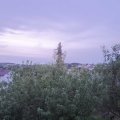 Webcam_20200804-054500