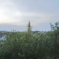 Webcam_20200804-071500