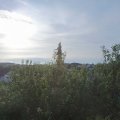 Webcam_20200804-081500