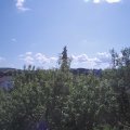 Webcam_20200804-111500