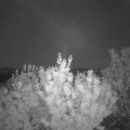 Webcam_20200804-220000