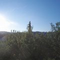 Webcam_20200805-073000