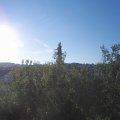 Webcam_20200805-074500