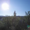 Webcam_20200805-083000