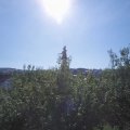 Webcam_20200805-094500