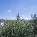 Webcam_20200805-140000