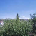 Webcam_20200805-144500