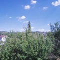 Webcam_20200805-154500