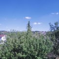 Webcam_20200805-161500