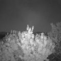 Webcam_20200805-220000