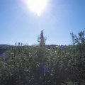 Webcam_20200806-094500