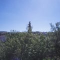 Webcam_20200806-113000