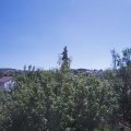 Webcam_20200806-123000