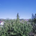 Webcam_20200806-163000