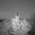 Webcam_20200806-214500