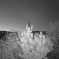 Webcam_20200807-050000