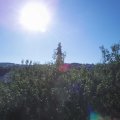 Webcam_20200807-090000