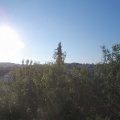 Webcam_20200808-074500