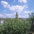 Webcam_20200808-144500