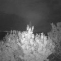 Webcam_20200810-050000