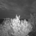 Webcam_20200810-051500