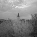 Webcam_20200810-054500