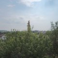 Webcam_20200810-111500