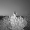 Webcam_20200811-051500