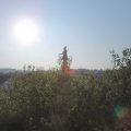 Webcam_20200811-083000