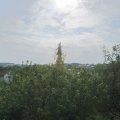 Webcam_20200812-101500