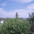 Webcam_20200812-161500