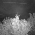 Webcam_20200813-050000