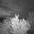 Webcam_20200813-051500