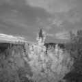 Webcam_20200813-053000