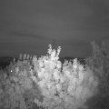 Webcam_20200813-213000