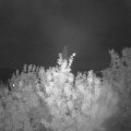 Webcam_20200813-214500