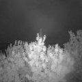 Webcam_20200814-051500