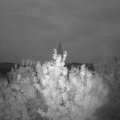 Webcam_20200814-053000