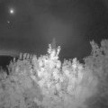 Webcam_20200815-050000