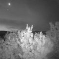 Webcam_20200815-051500