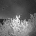 Webcam_20200816-050000