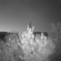 Webcam_20200816-051500