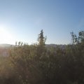 Webcam_20200816-071500
