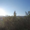 Webcam_20200816-073000