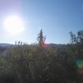 Webcam_20200816-081500