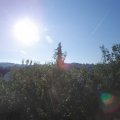 Webcam_20200816-083000