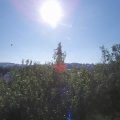 Webcam_20200816-093000