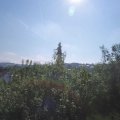 Webcam_20200816-103000